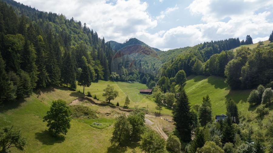 Teren Construcții intravilan de 2891 mp, în Bran