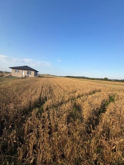Teren Construcții extravilan de 2250 mp, în Filiași