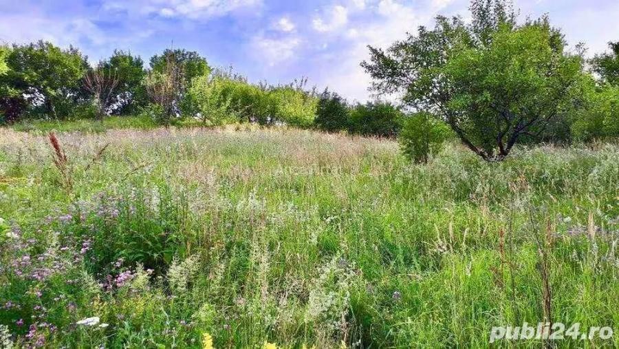 Teren de 3600 mp, în Morilor