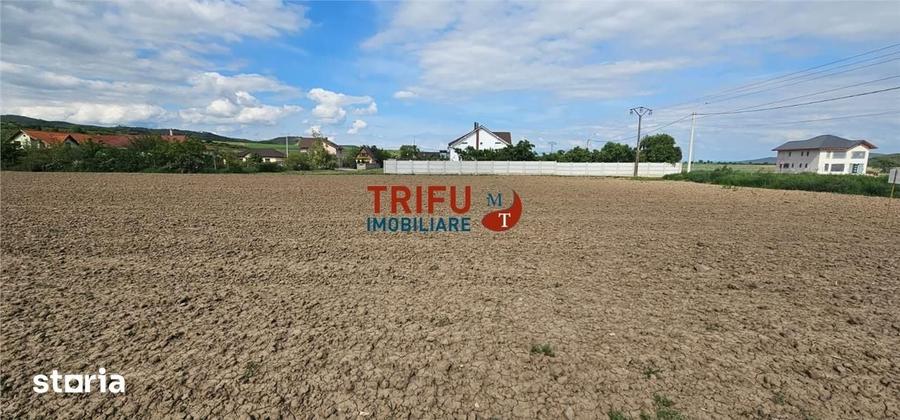 Teren de 2000 mp, în Ighiu