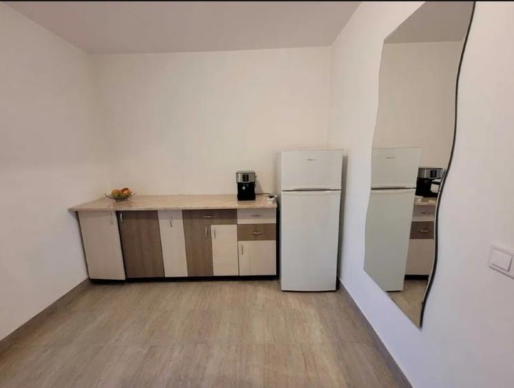 Garsonieră nedecomandată, mobilată în Lăpuș Argeș