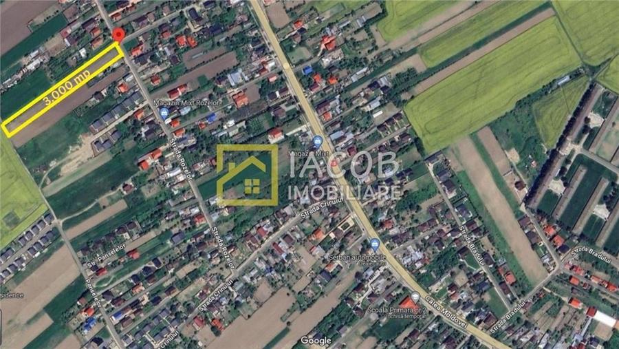 Teren Construcții intravilan de 3000 mp, în Lilieci