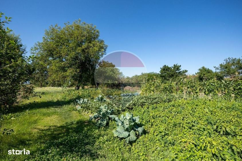Casă cu 4 camere în Comana
