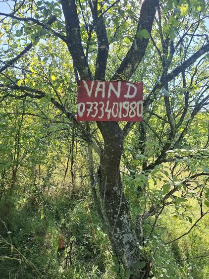 Teren în Valea