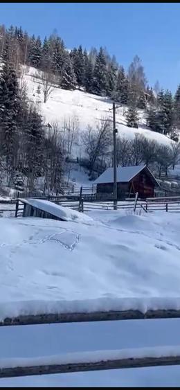 Teren de 6000 mp, în Ortoaia