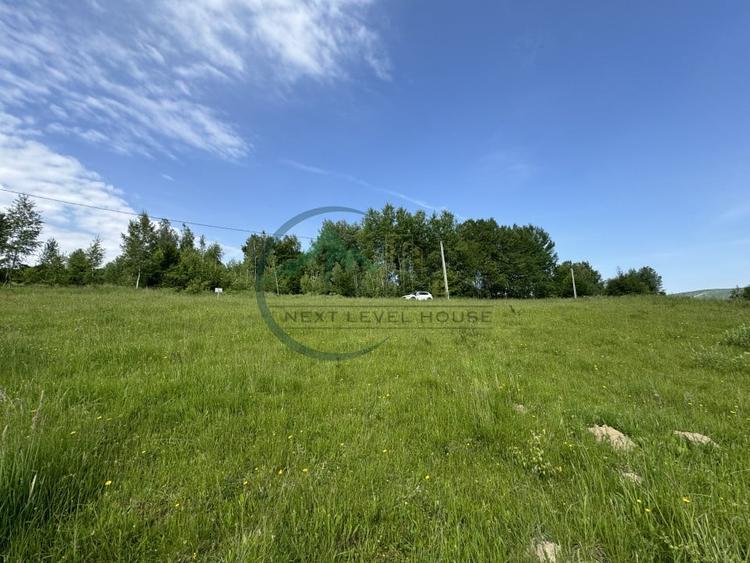 Teren Construcții extravilan de 2900.0100097656 mp, în Lisnău-Vale