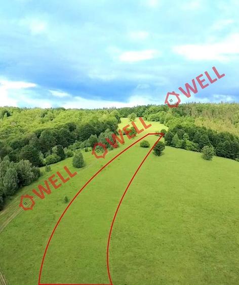 Teren agricol extravilan de 9289 mp, în Vama Buzăului