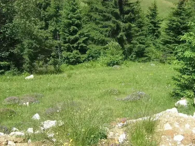 Teren intravilan de 4238 mp, în Fundățica