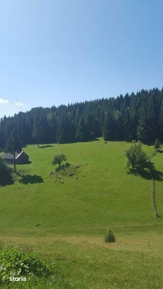 Teren de 7000 mp, în Fundata