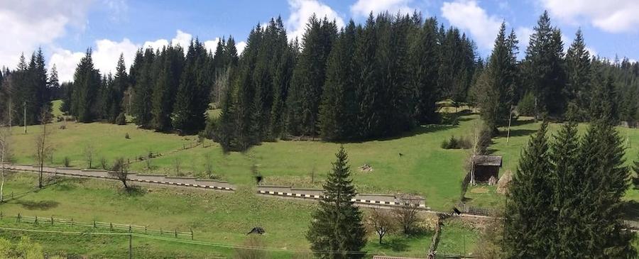 Teren de 4578 mp, în Valea Putnei