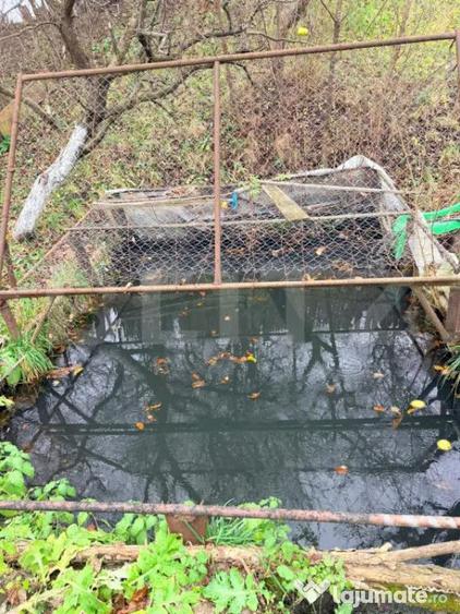 Casă cu 7 camere cu Teren 2285 Mp în Tohanu Vechi