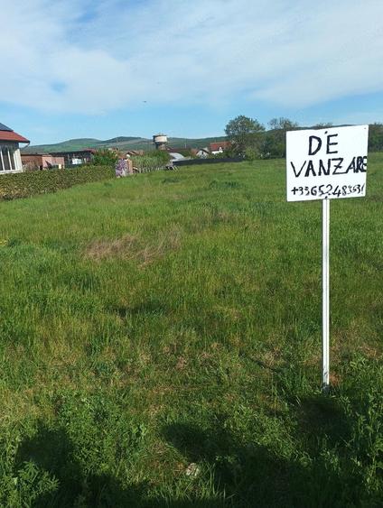Teren de 1609 mp, în Teiu