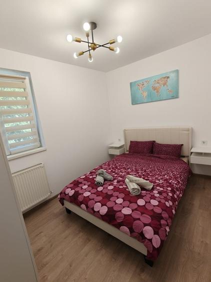 Apartament cu 2 camere semidecomandat în Dosu Bricii