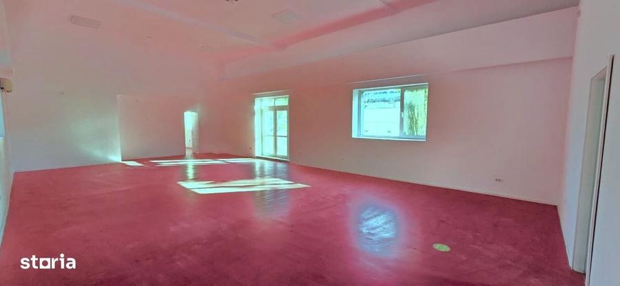 Spațiu comercial, de 370 mp, în Basarab
