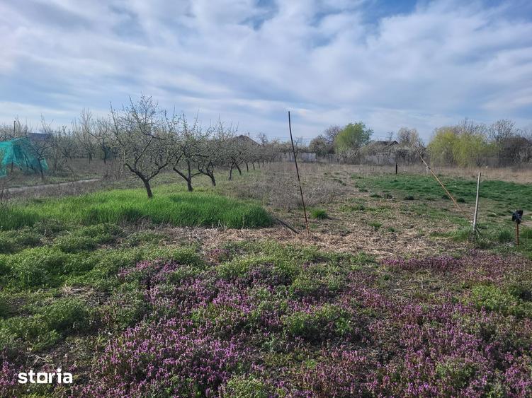 Casă cu 2 camere cu Teren 3800 Mp în Mădăras