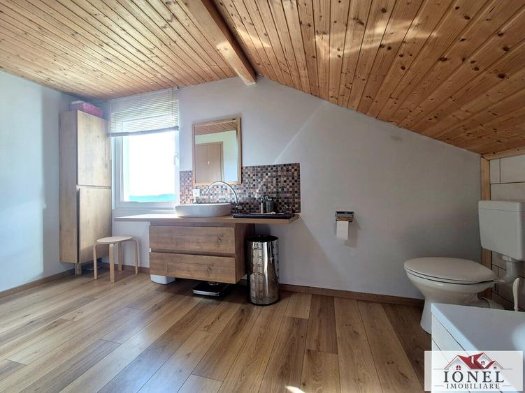 Casă individuală cu 11 camere cu Teren 114144 Mp în Abrud