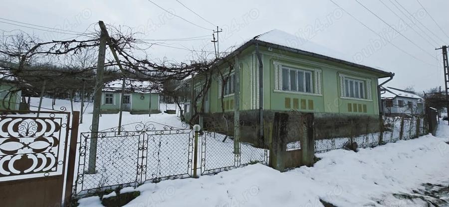 Casă cu 3 camere cu Teren 2500 Mp în Central