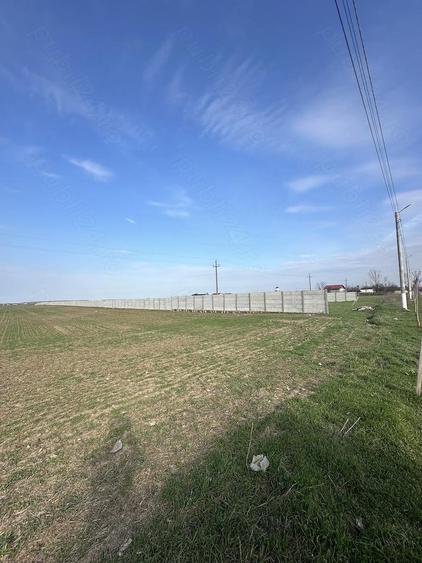 Teren de 6700 mp, în Bălăceanca
