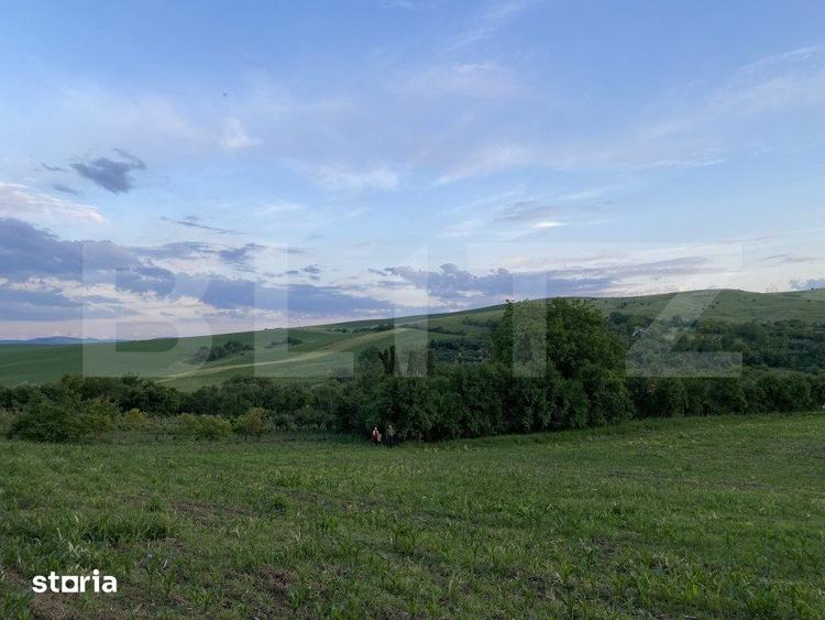 Teren de 21450 mp, în Moldovenești