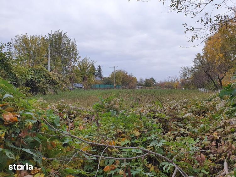 Teren de vanzare Dumbrava Minunata in Domnesti, Ilfov - 4