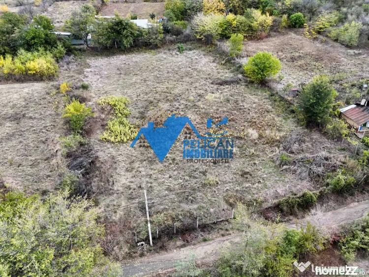 Teren de 3044 mp, în Niculițel