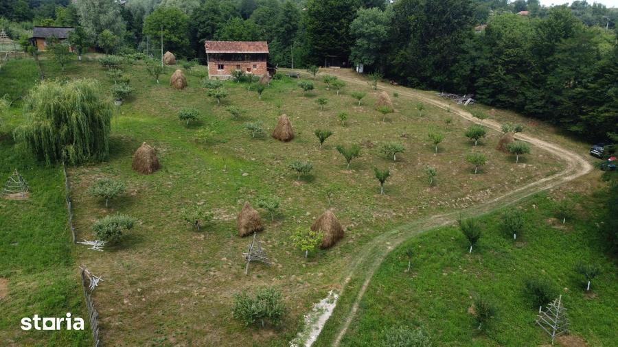 Teren de 6200 mp, în Cicănești