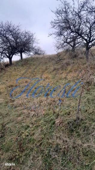 Teren de 3450 mp, în Borhanci