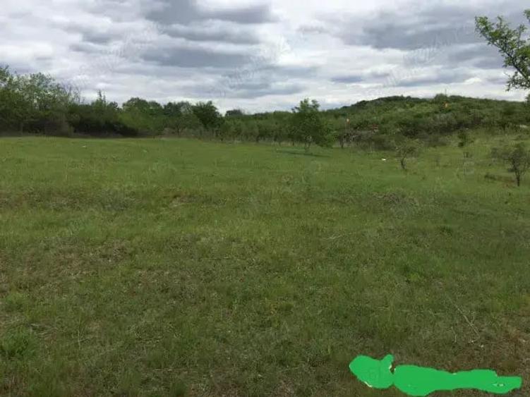 Teren de 5000 mp, în Chicerea