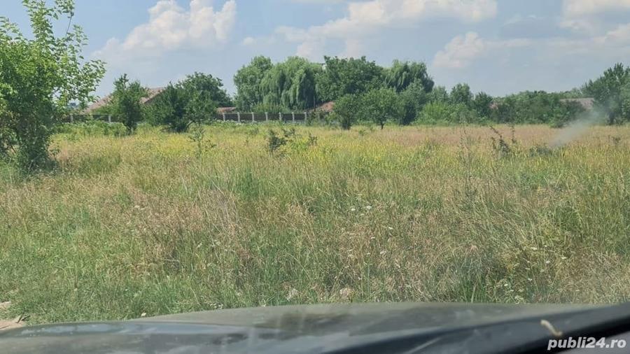 Teren Domne?ti-Ilfov - 1