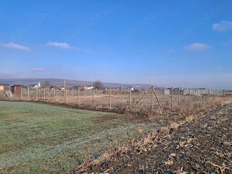 Teren de 8700 mp, în Livada (Iclod)
