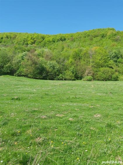 Teren de 8500 mp, în Părău