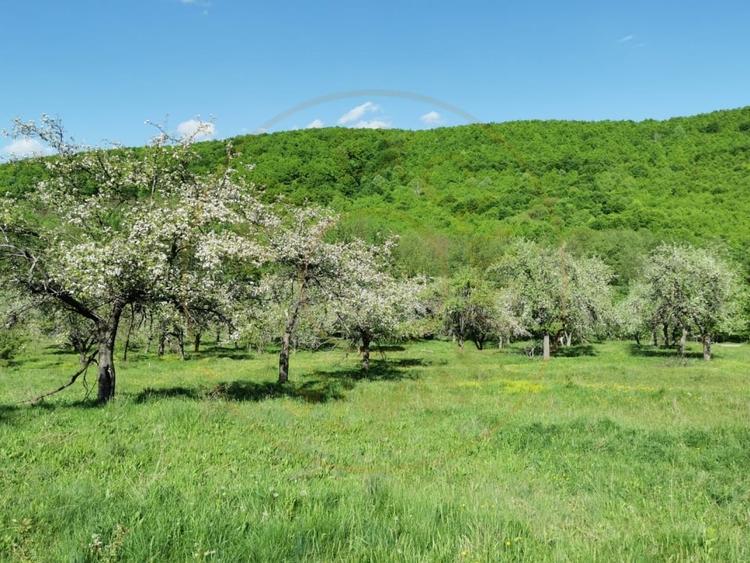 Teren agricol extravilan de 680 mp, în Budeasa Mică