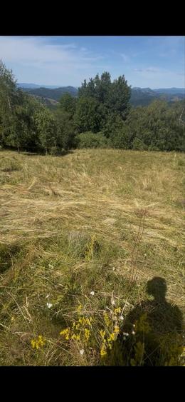Vand 2 parcele de teren sau schimb - 5