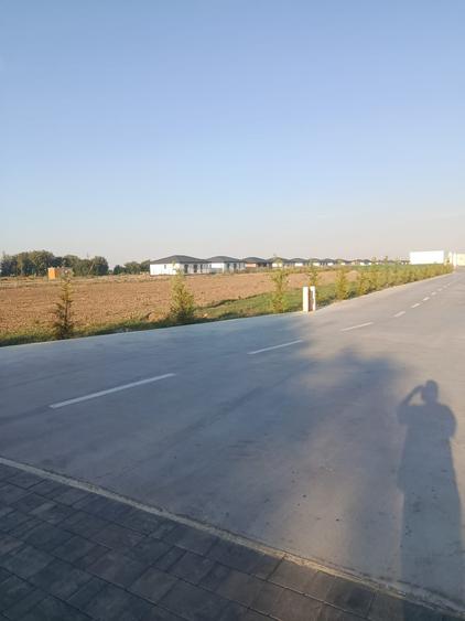 Teren Construcții intravilan de 4846 mp, în Dimieni