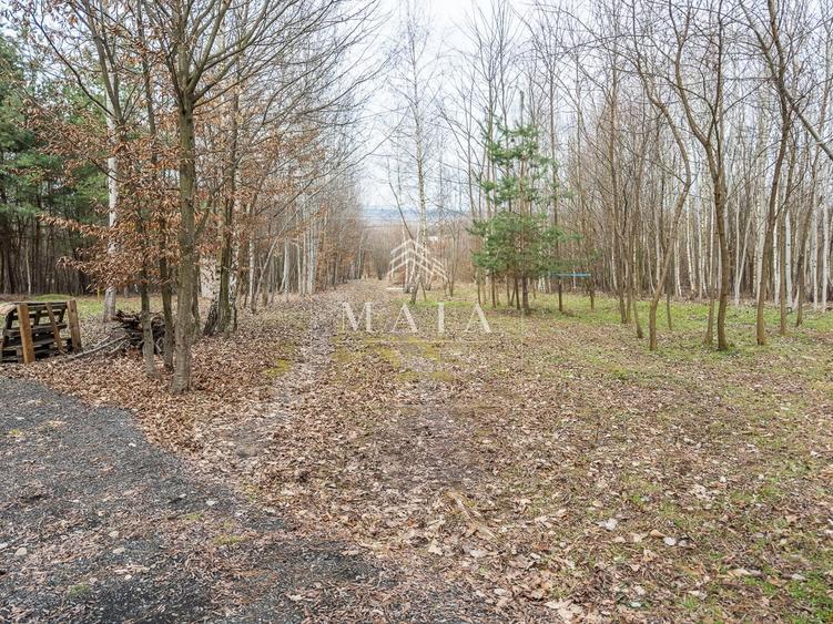 Teren extravilan de 2200 mp, în Calea Poplăcii