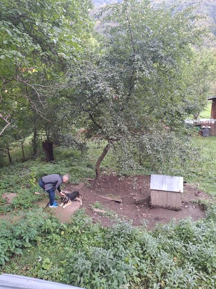 Casă cu 4 camere în Posada