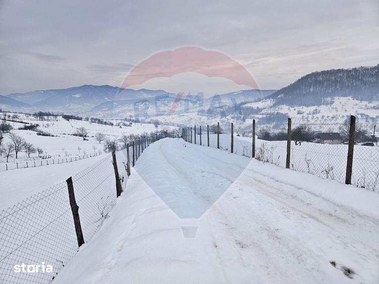 Teren 4,301mp Barsana / Strada Principala - 5