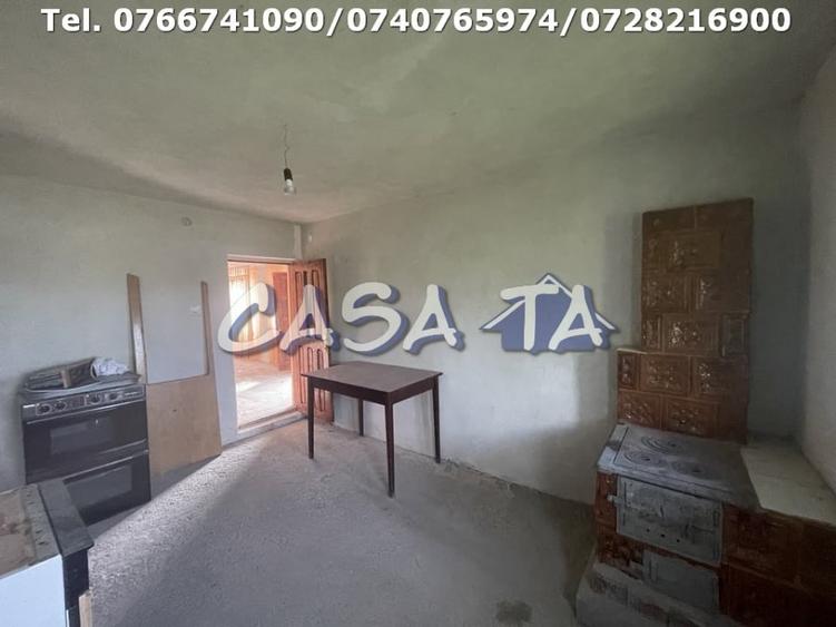 Casă individuală cu 5 camere cu Teren 9338 Mp în Dănești