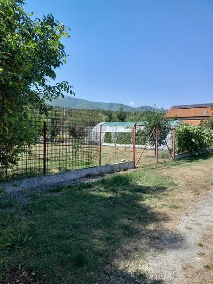 Teren de 1000 mp, în Sadu