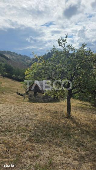 Teren de 8300 mp, în Săsciori