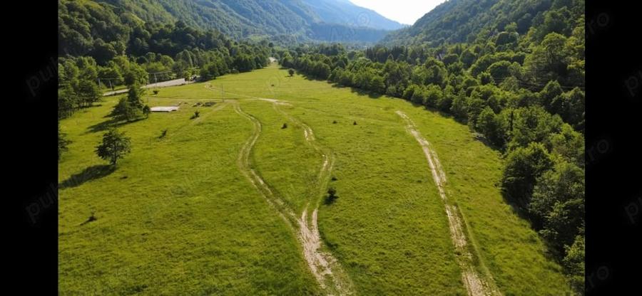 Teren de 5000 mp, în Păscoaia