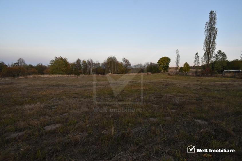 Teren Construcții intravilan de 2540 mp, în Dângău Mare