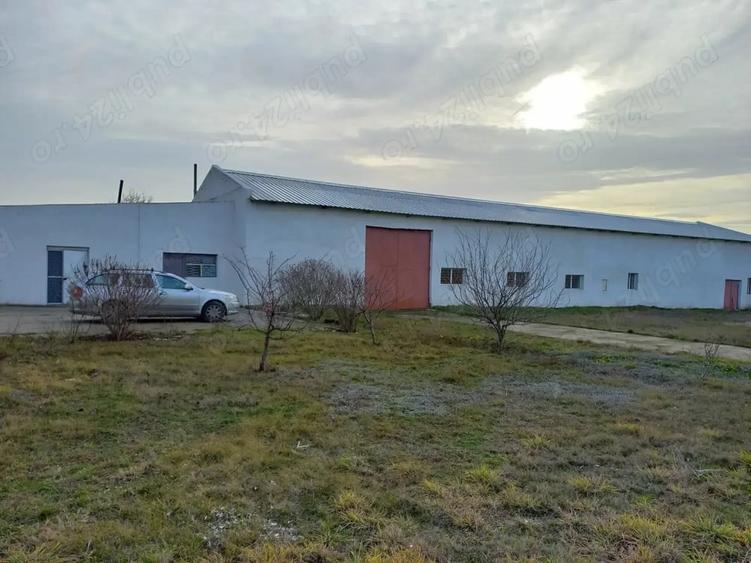 Spațiu comercial, de 950 mp, în Mangalia