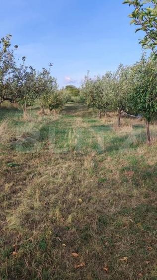 Teren agricol intravilan de 3300 mp, în Năsăud