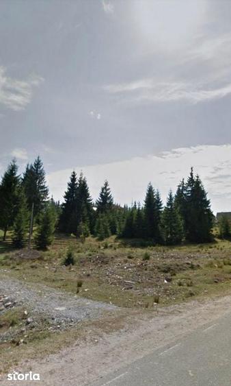 Teren de 1300 mp, în Beliș