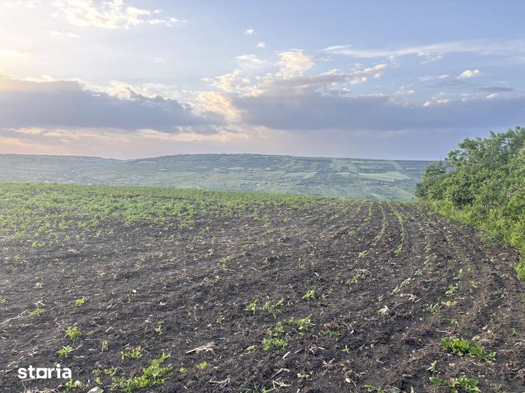 Teren de 990 mp, în Iris