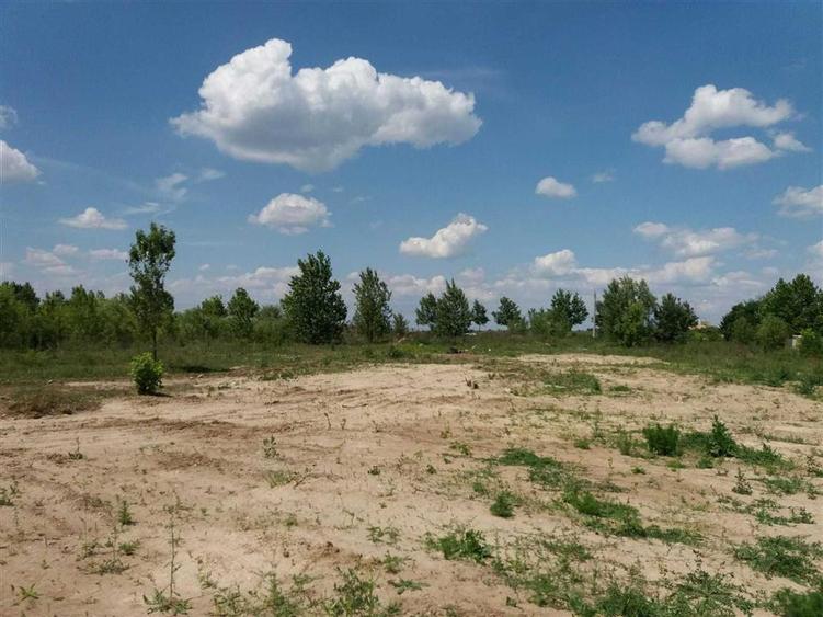 Teren intravilan de 5000 mp, în Băneasa