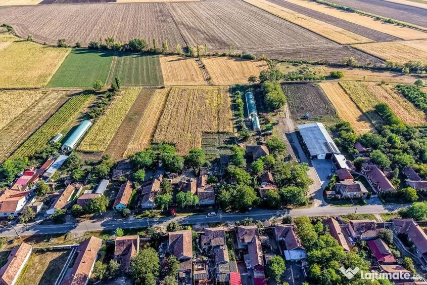 Casă cu 3 camere cu Teren 3950 Mp în Dorobanți