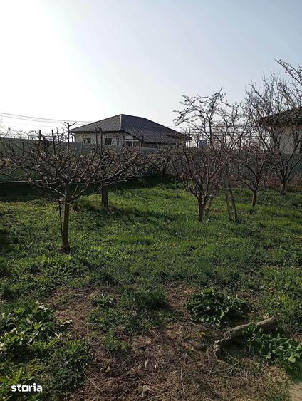 Casă cu 3 camere cu Teren 817 Mp în Central