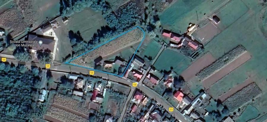 Casă cu 3 camere cu Teren 3600 Mp în Fântâna Mare